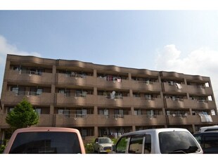 津島神社前 徒歩13分 3階の物件外観写真